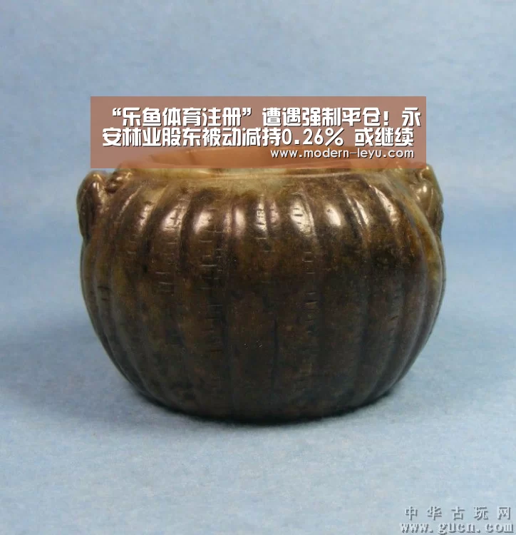 乐鱼电竞leyu