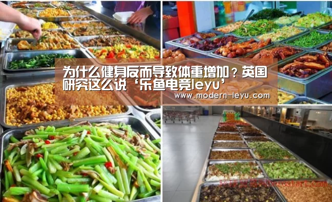 乐鱼电竞官网